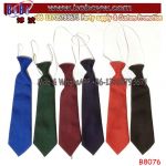 Logo Necktie Silk Necktie Logo Necktie Party Supplies Export Agent School Supply (B8076)