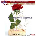 Eternal Red Magic Flower Gift Rose Long Lasting Flowers for Valentine Gifts Birthday Present