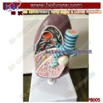 Human Lung Model, Anatomical Lung Pathology Models Medical School Stationery