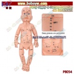 Acupuncture Model Massage Model Training with Acupoints Body Meridians Acupoints Pressure Point Learning Human Acupuncture Model