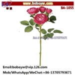 Flowers MAGIQ Melinda Rose Beauty Flower